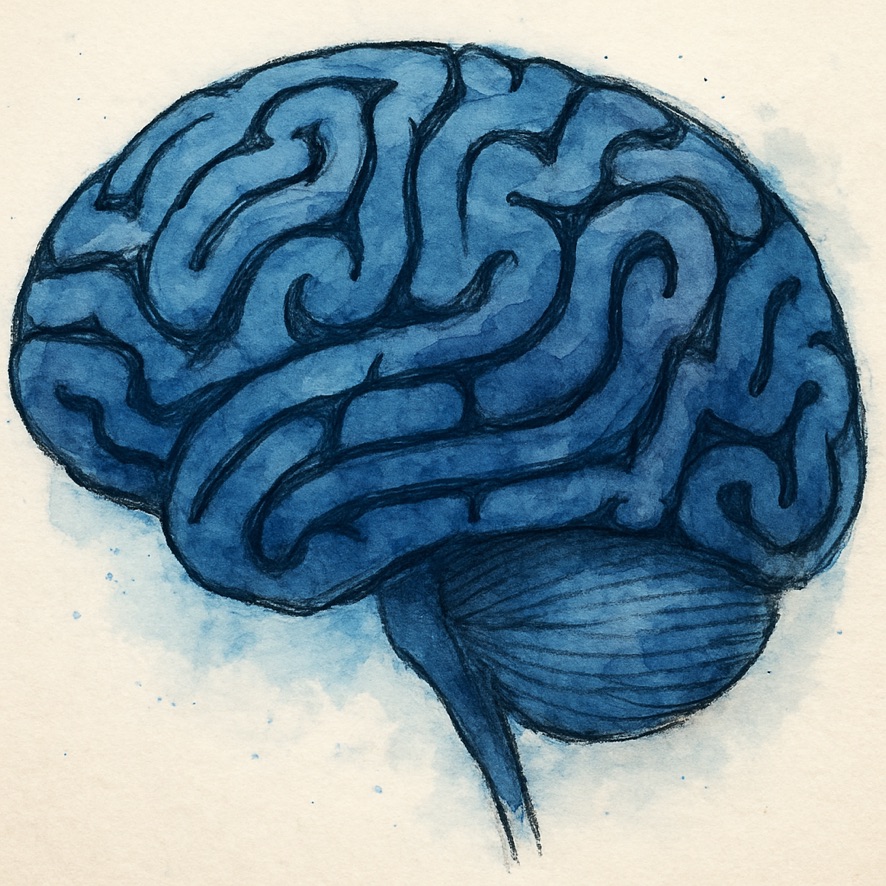 Watercolor of a human brain